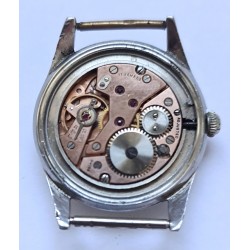 Dixton AWW-1241