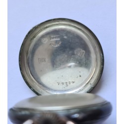 Silver APW-379