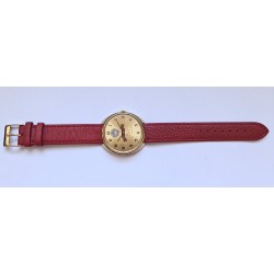 Raketa AWW-1249