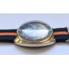 Vostok AWW-1251
