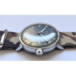 Vostok AWW-1252