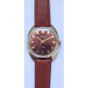Vostok AWW-1256
