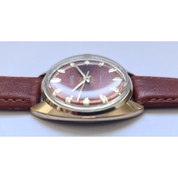 Vostok AWW-1256