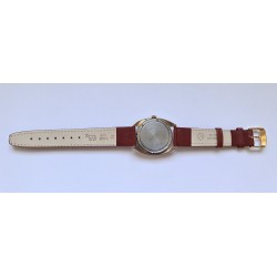 Vostok AWW-1256