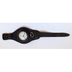 Omega APW-291
