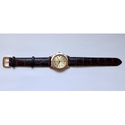 Poljot AWW-1292