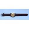 Poljot AWW-1293