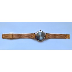 Poljot AWW-1294