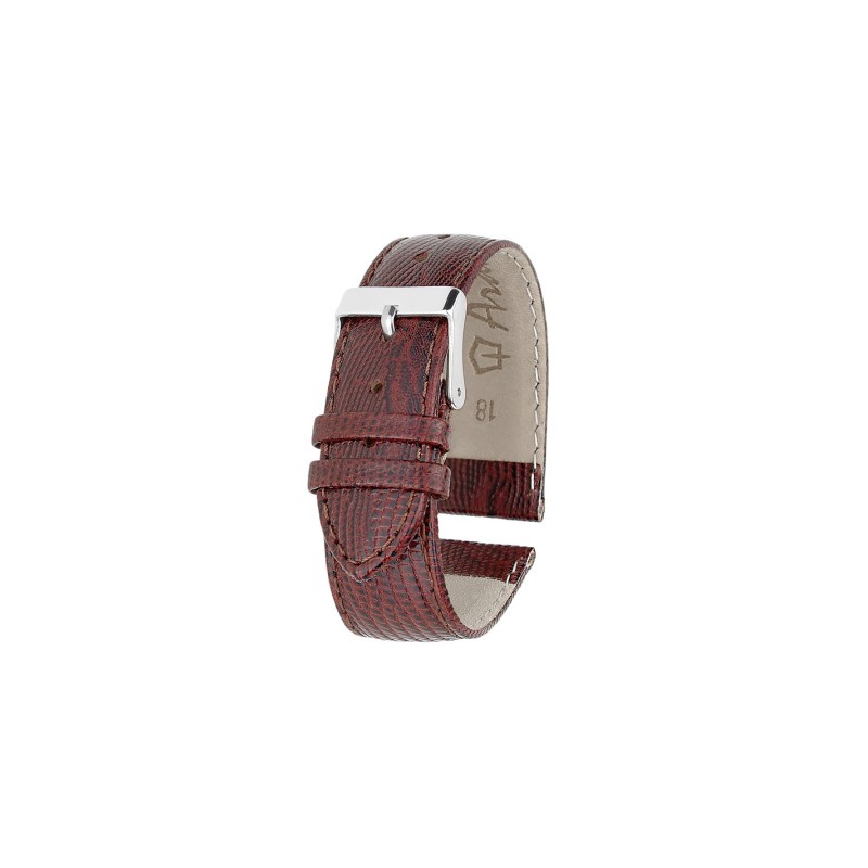 Ardi RPI-23-24 Ardi RPI-23-24