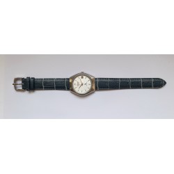 Citizen - Silver, 1975