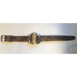 Citizen - Green, 1968