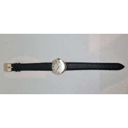 Ventura - Silver, 1976