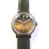 Vostok - Brown, 1978