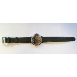 Vostok - Brown, 1978