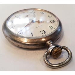 Zenith - White, 1905