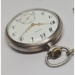 Zenith - White, 1900