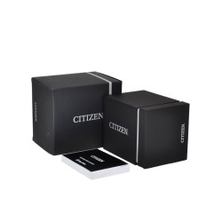 Citizen TSUYOSA Automatic NJ0151-88X